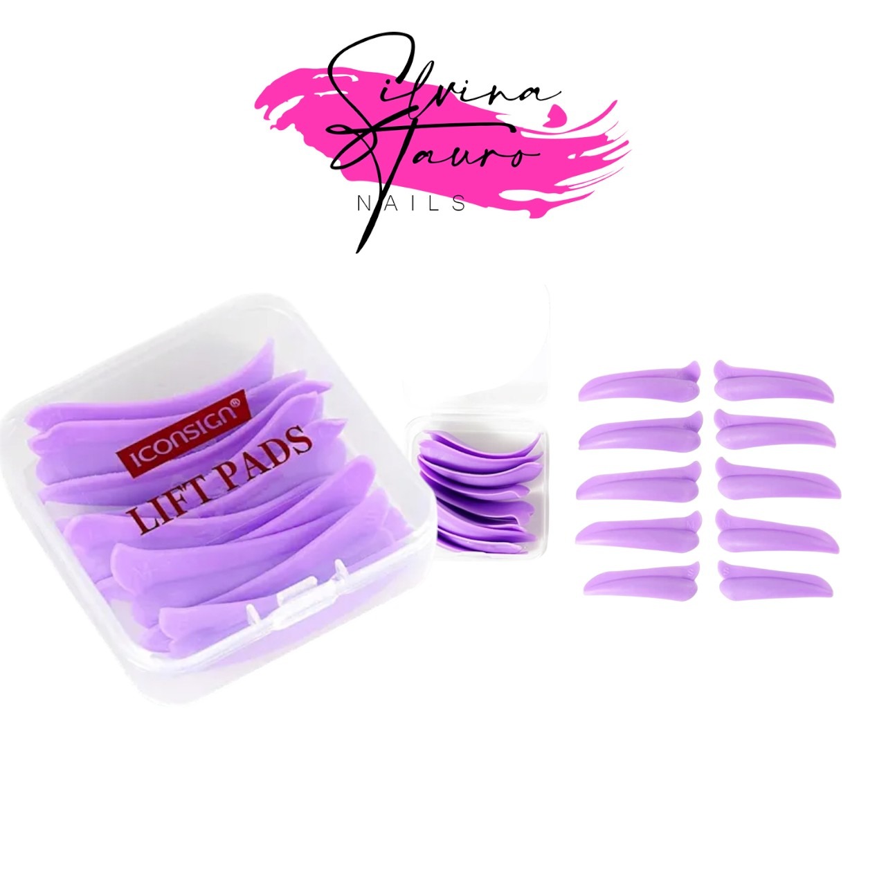 BIGUDIES ICONSIGN CAJA CHICA