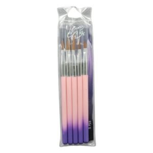 SET DE PINCELES X5 BY-1277